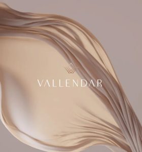 Manual-de-Marca-Vallendar-01 1